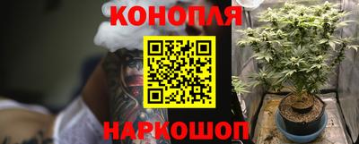 тгк Нальчик