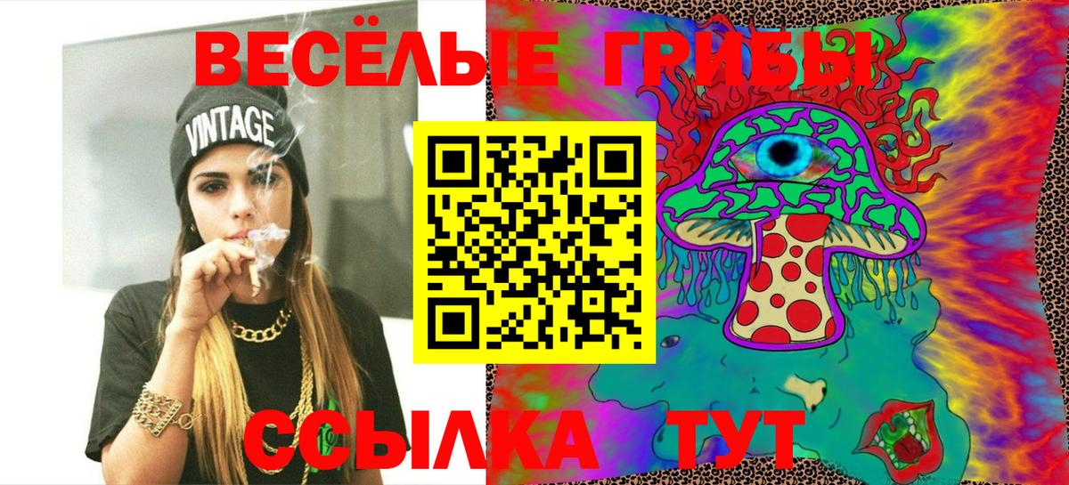 Галлюциногенные грибы Psilocybine cubensis  Вход с VPN  Торжок  Галлюциногенные грибы Cubensis 