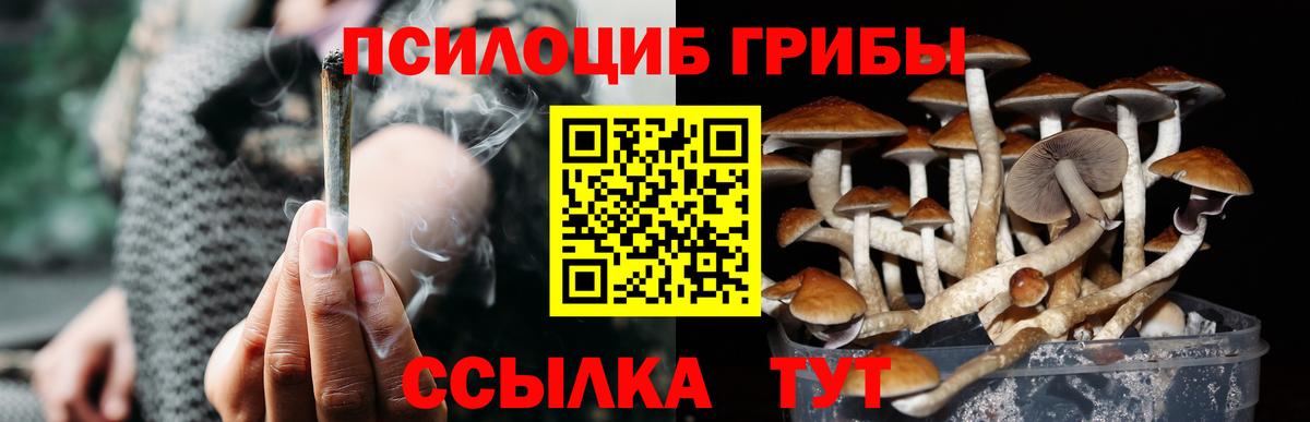 Псилоцибиновые грибы мухоморы Торжок